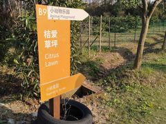 -前小桔亲子创意农场·草莓采摘·露营烧烤