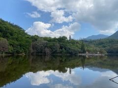 -深圳仙湖植物园