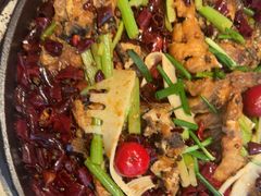 -老板恋上鱼(恒隆广场店)