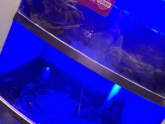 -七欣天香辣蟹火锅(扬州望月路店)
