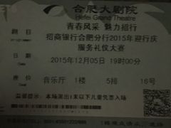 -合肥大剧院