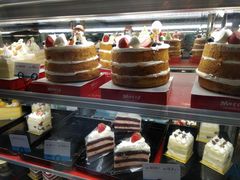 -卡吉诺动物奶油生日蛋糕(中原路店)