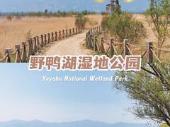 -野鸭湖国家湿地公园