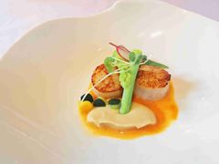 香煎扇贝-蝶舍·MAISON PAPILLON