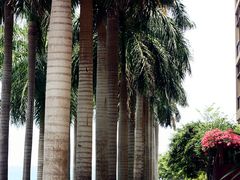 -三亚亚龙湾红树林度假酒店