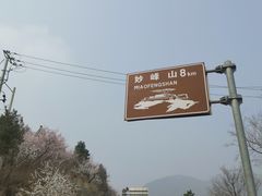 -妙峰山风景名胜区