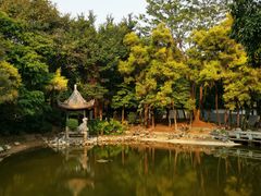 -深圳国际园林花卉博览园