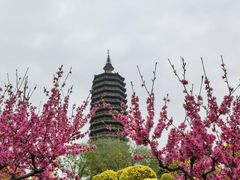 -西海子公园