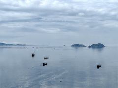 -大京沙滩