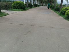 -亚龙湾国际玫瑰谷