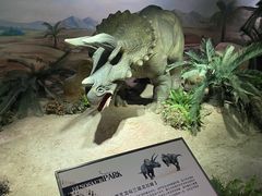 -国家自然博物馆