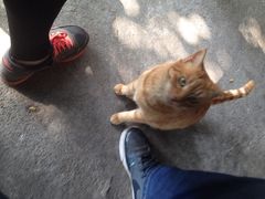 -南丫岛