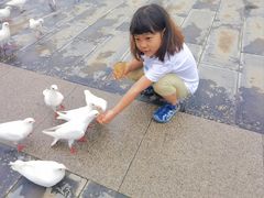 -天津妈祖文化园