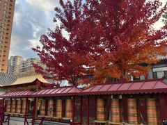 -护国法轮寺