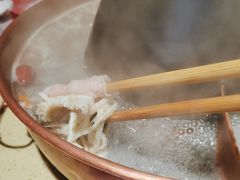 -东镇老火锅(长春路首店)