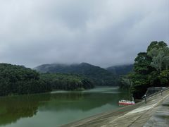 -阳台山森林公园