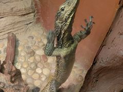 -上海昆虫博物馆