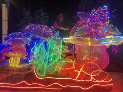 -南宫五洲植物乐园