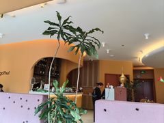 -美泰·Mangothai·清迈云街(天空之城店)