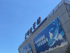 -苏州海洋馆