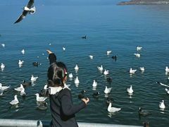 -晓琦农家菜馆·地道农家菜