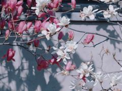 -三里河公园