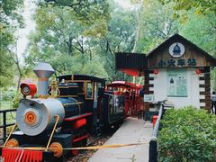 -上海共青森林公园