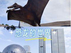 -陕西自然博物馆