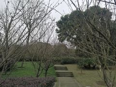 -南山植物园