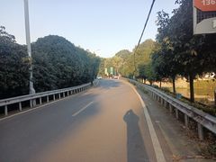 -南山植物园