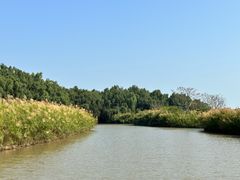 -大湾区中央湿地公园