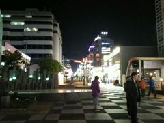 -宝健路步行街(Pedestrian Shopping Street)