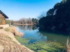 -梁鸿国家湿地公园