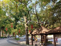 -广州雕塑公园