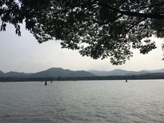 -西湖外事游船(花港观鱼码头)