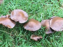 -郑州银基黄帝宫御温泉