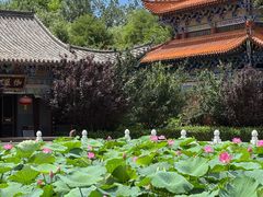 -大悲禅寺