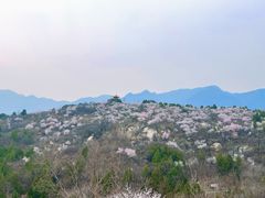 -白水寺森林公园