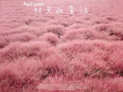 -嘉北郊野公园