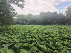 -莲池书院博物馆