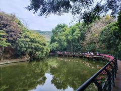 -月亮湾公园
