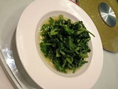 清炒豆苗-上海会馆(香港名都店)