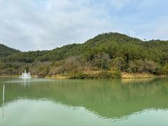 -广州白江湖森林公园