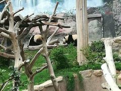 -石排湾郊野公园