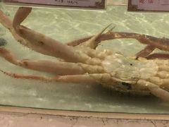 -白金汉爵大酒店(相城店)