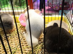 -鸿通城购物中心