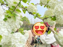 -桃园农庄·桃源宴