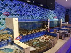 -乔哥铭洋海鲜自助(皇城恒隆广场店)