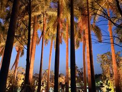 -惠州西湖风景名胜区-丰渚园