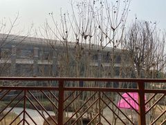 -成都安仁福朋喜来登酒店